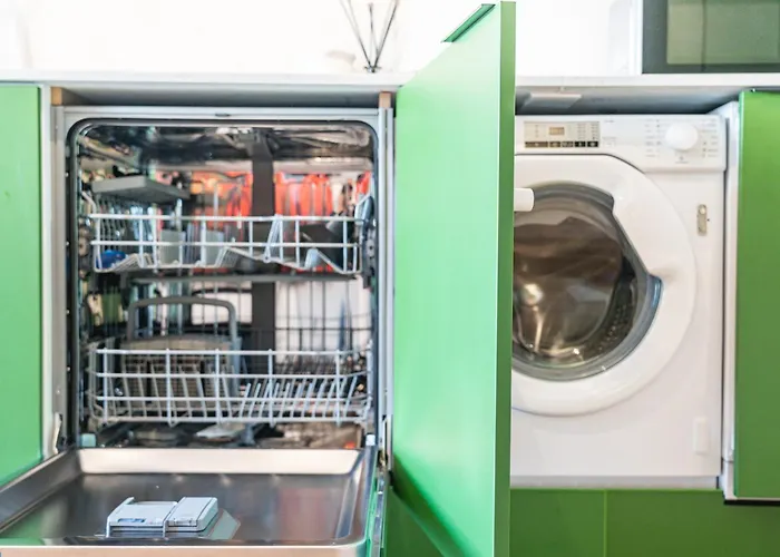 Alegria Lyfe 리스본